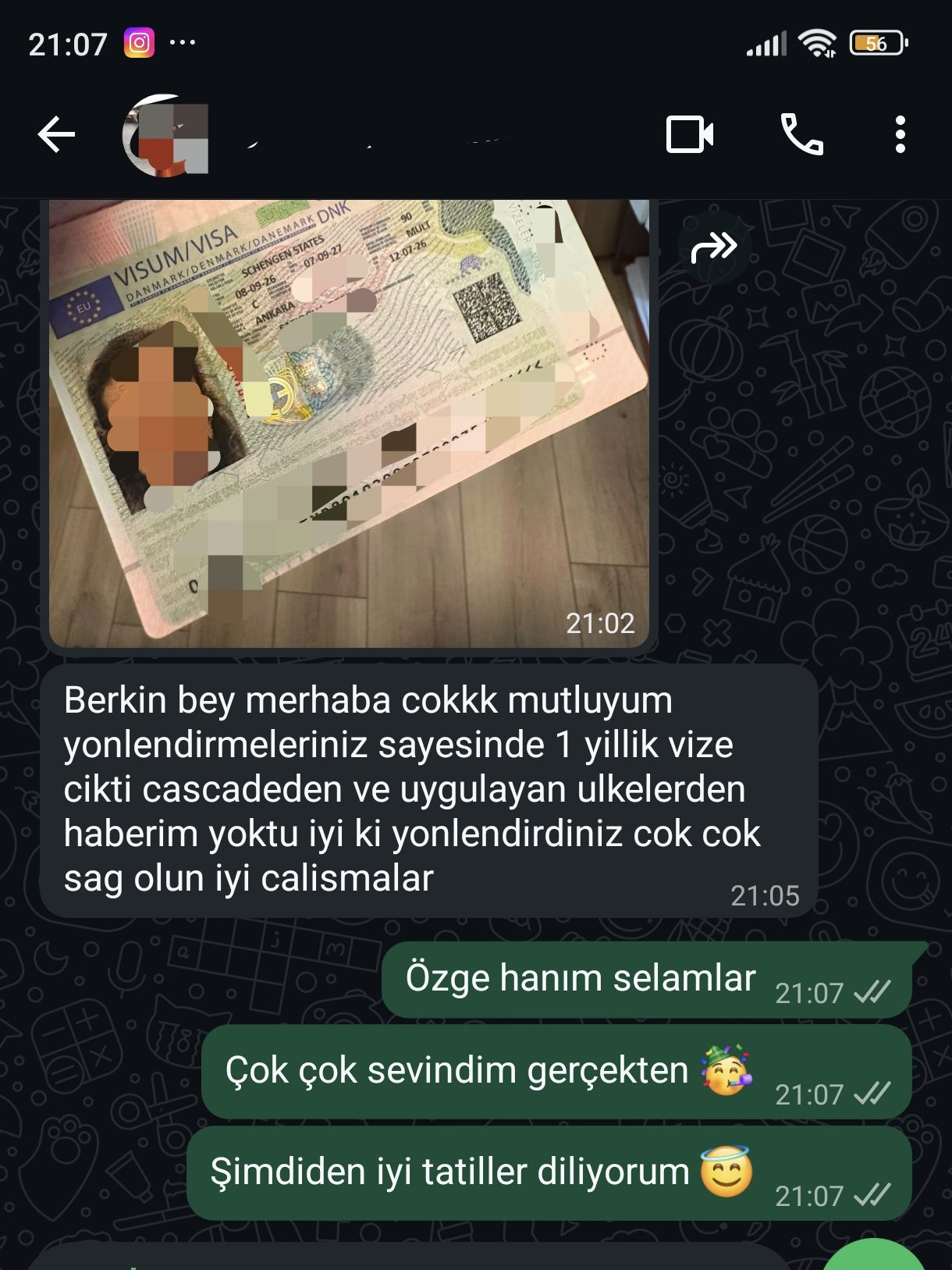 Danimarka 1 yıllık vize — cascade