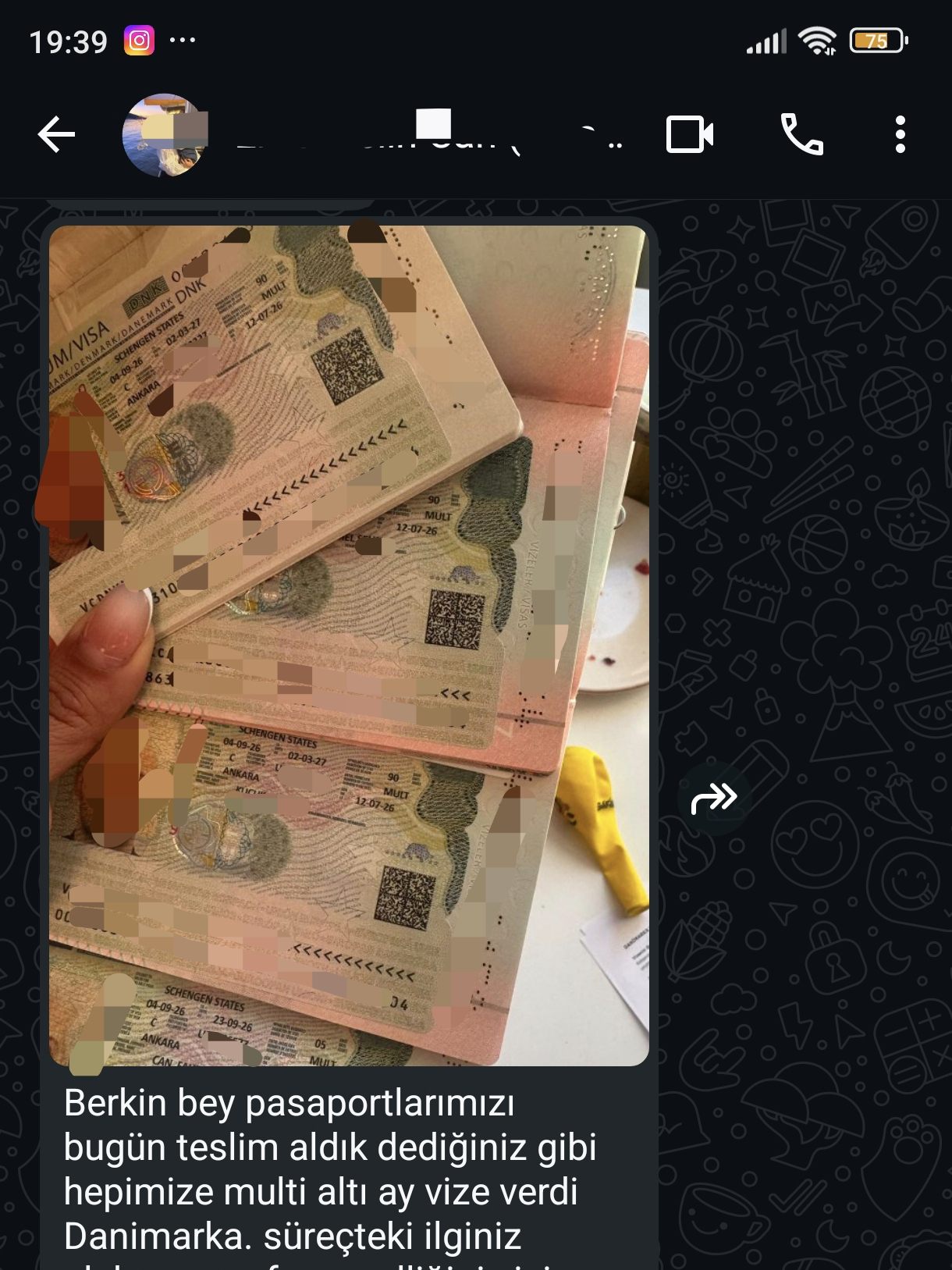 Danimarka aile — 6 aylık çok girişli vize
